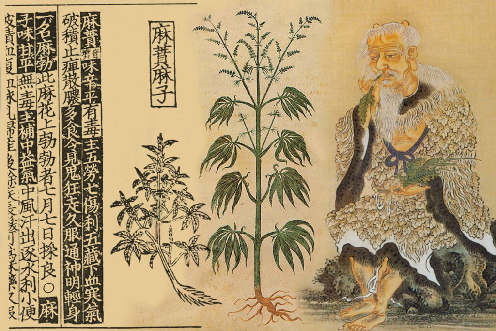 histoire-cannabis-12000-ans