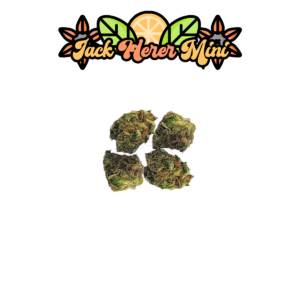 jack herer mini buds cbd