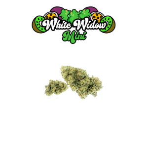 white-widow-fleurs-cbd-mini-cannabis