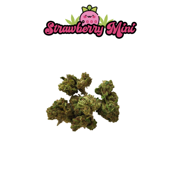 strawberry mini buds cbd